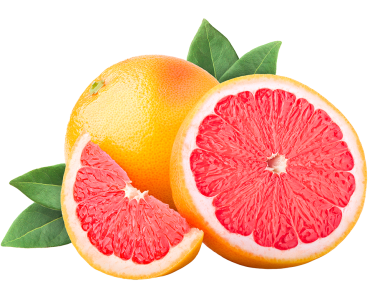 grapefruit2022
